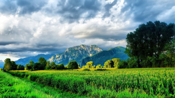 Картинка природа пейзажи зелень трава небо горизонт горы