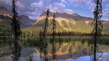 Картинка природа реки озера горы озеро притопленный лес
