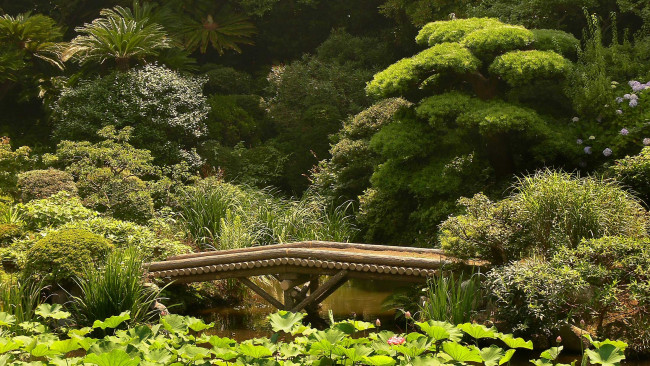 Обои картинки фото природа, парк, япония, зелень, сад, мост