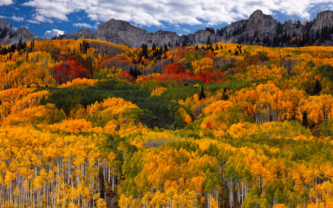 Обои картинки фото природа, лес, облака, осень, краски, горы, небо
