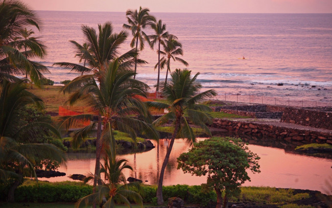 Обои картинки фото природа, тропики, море, пальмы, закат