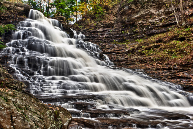 Обои картинки фото природа, водопады, ricketts, glen, state, park, pennsylvania