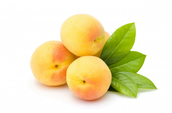 Картинка еда персики +сливы +абрикосы абрикос листья