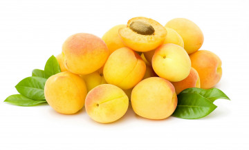 Картинка еда персики +сливы +абрикосы листья абрикос