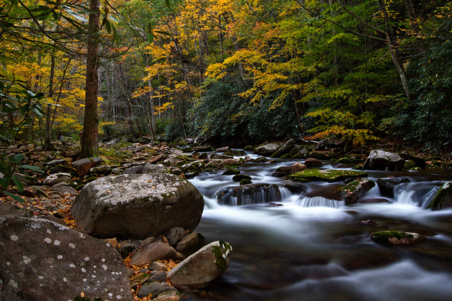 Обои картинки фото big creek, природа, реки, озера, осень, камни, река, лес, краски