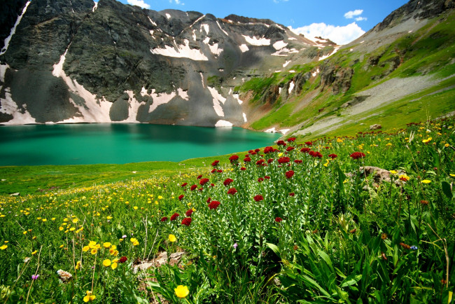 Обои картинки фото природа, реки, озера, горы, цветы, озеро