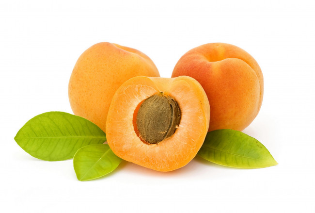 Обои картинки фото еда, персики,  сливы,  абрикосы, листья, абрикос