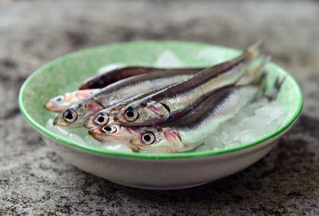 Обои картинки фото еда, рыба,  морепродукты,  суши,  роллы, анчоусы