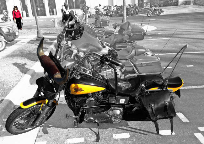 Обои картинки фото harley-davidson, мотоциклы, дорожный, классический, байк, сша