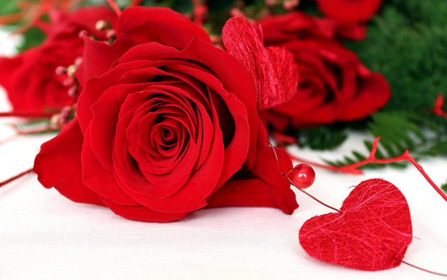 Обои картинки фото цветы, розы, роза, бусинки, сердечки, красная