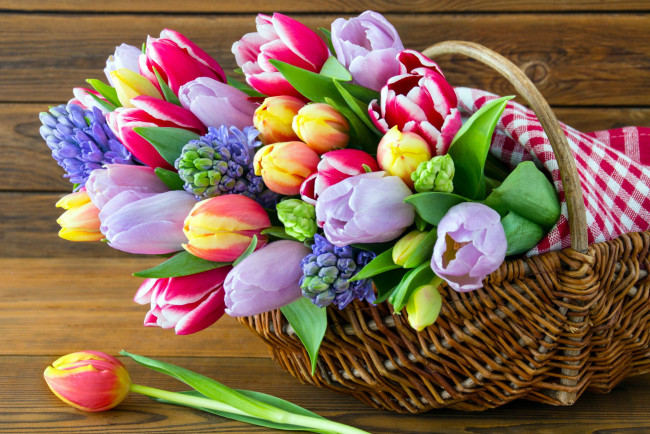 Обои картинки фото цветы, букеты,  композиции, тюльпаны, гиацинты