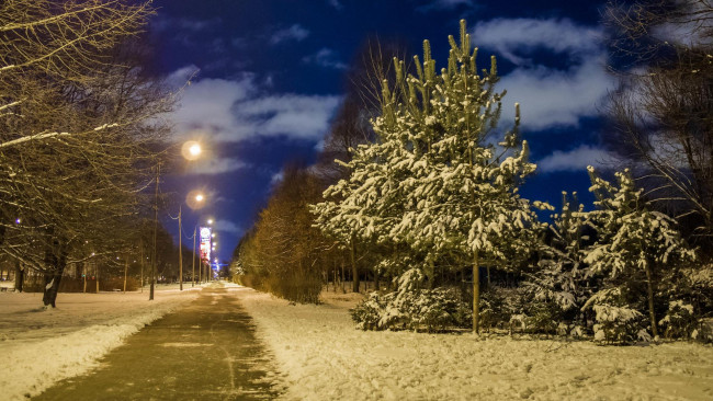 Обои картинки фото природа, парк, санкт-петербург, огни, города, авиаторов