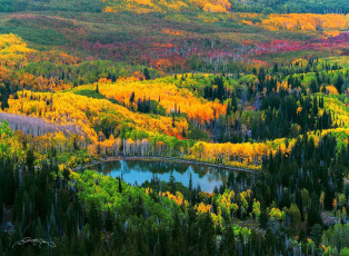 Картинка природа реки озера озеро осень деревья лес