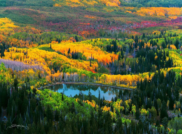 Обои картинки фото природа, реки, озера, озеро, осень, деревья, лес