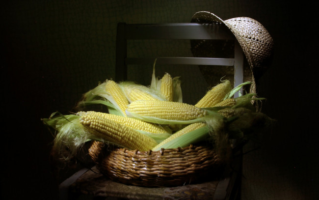 Обои картинки фото еда, кукуруза, шляпа, стул