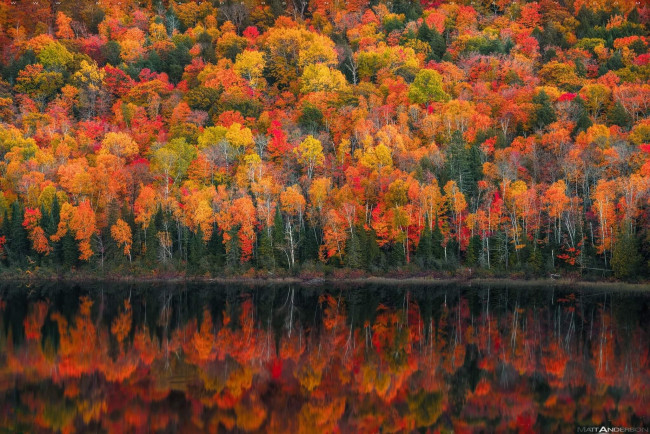 Обои картинки фото природа, лес, деревья, озеро, осень