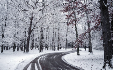 Картинка природа дороги зима шоссе снег