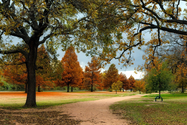 Обои картинки фото природа, парк, аллея, деревья, осень