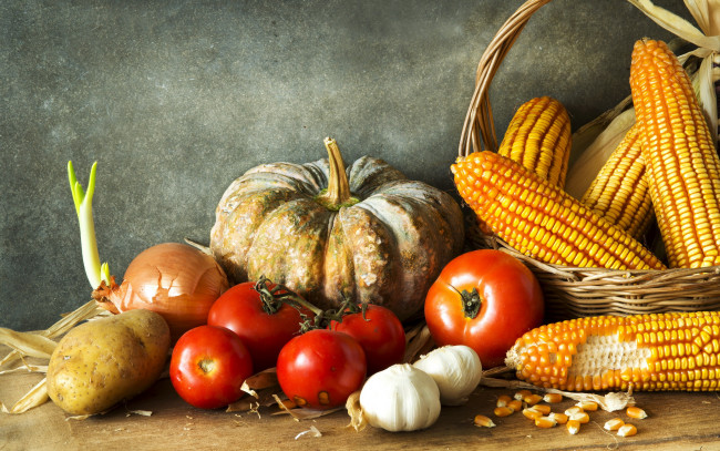 Обои картинки фото еда, овощи, тыква, лук, чеснок, помидоры, кукуруза, картофель