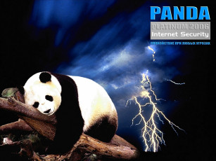 обоя panda, planinum, 2006, компьютеры, unknown, разное