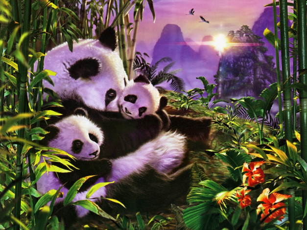 Обои картинки фото рисованные, животные, панды
