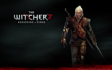 Картинка the witcher assassins of kings видео игры