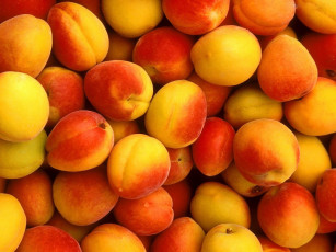 Картинка еда персики сливы абрикосы много