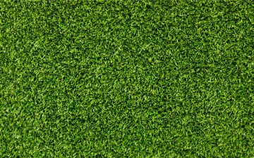 Картинка природа макро трава