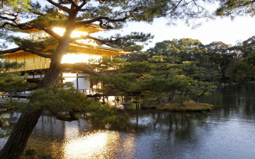 Картинка природа парк закат японский сад