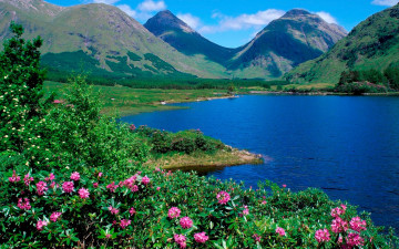 Картинка природа пейзажи лето трава зелень озеро горы склоны цветы