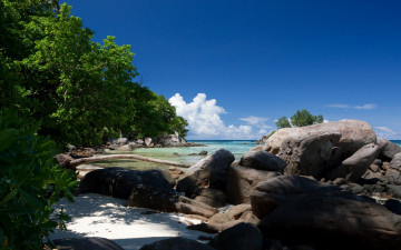 Картинка природа побережье камни море зелень пляж