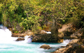Картинка природа реки озера листья хорошая погода деревья растения водопад скалы вода