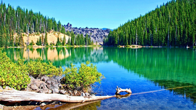 Обои картинки фото природа, реки, озера, лес, река, камни