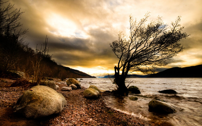 Обои картинки фото природа, побережье, река, дерево, камни, мрак