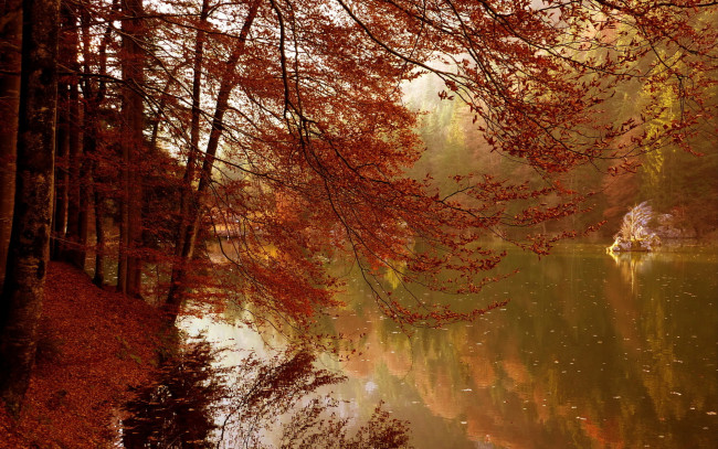 Обои картинки фото природа, реки, озера, осень, деревья, озеро