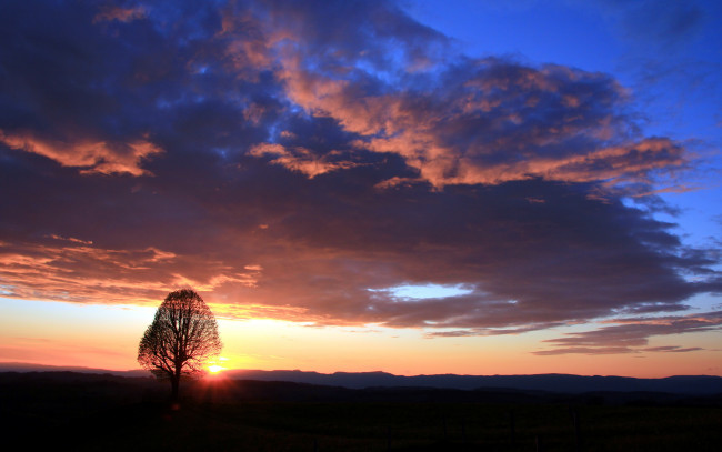 Обои картинки фото природа, восходы, закаты, закат, облака, дерево