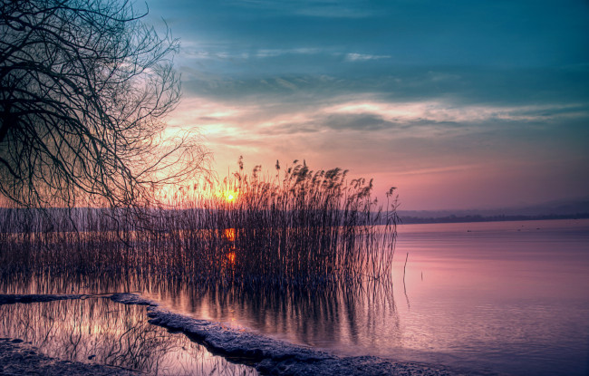 Обои картинки фото природа, реки, озера, берег, тишина, камыши, озеро, небо, синее, солнце, закат, розовый, сумерки, вечер