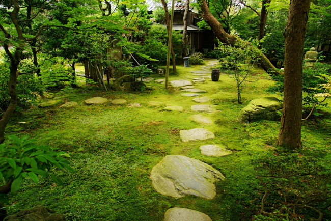 Обои картинки фото природа, парк, japan, garden, in, kanazawa