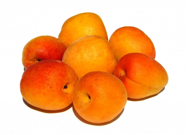 Обои картинки фото еда, персики, сливы, абрикосы, спелые