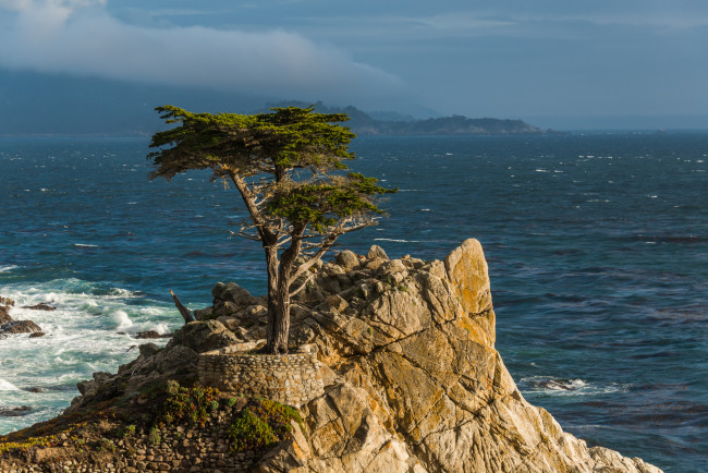Обои картинки фото lone, cypress, monterey, peninsula, california, природа, деревья, pacific, монтерей, калифорния, кипарис, скала, тихий, океан
