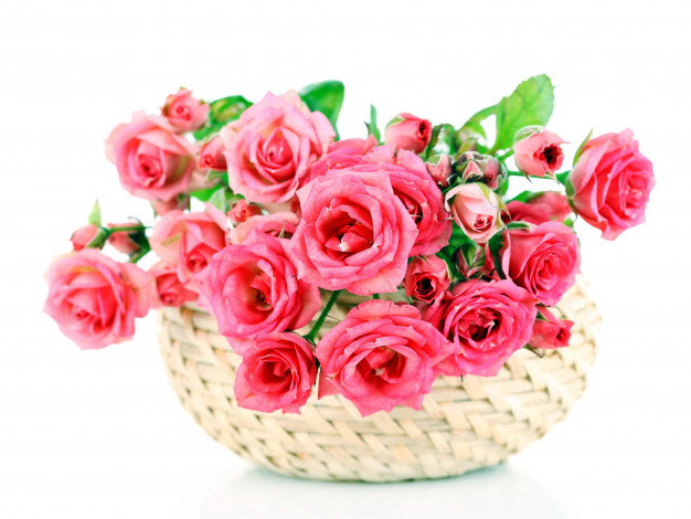 Обои картинки фото цветы, розы, корзинка, розовый