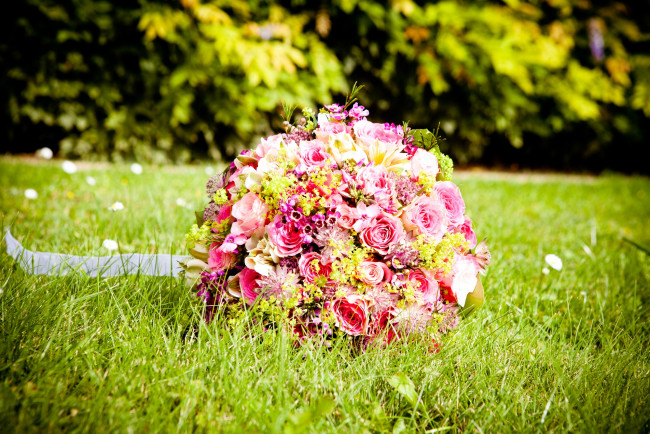 Обои картинки фото цветы, букеты,  композиции, трава, розовый