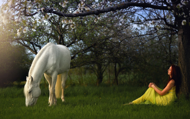 Обои картинки фото девушки, -unsort , брюнетки,  шатенки, конь, сад, девушка