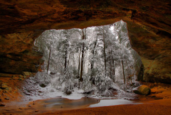 Картинка природа лес винтон арка скала деревья зима снег огайо сша