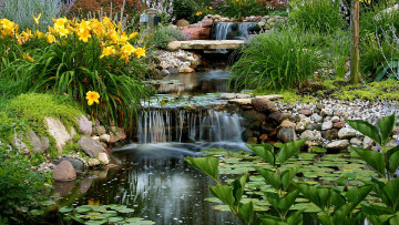 Картинка природа парк каскад водоем лилии камни