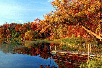 Картинка природа реки озера листопад река осень