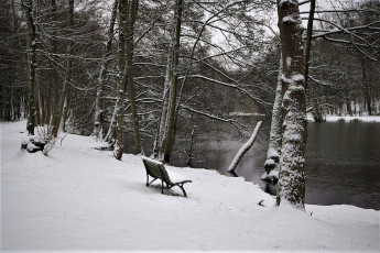 Картинка природа реки озера зима лавочка лес снег деревья