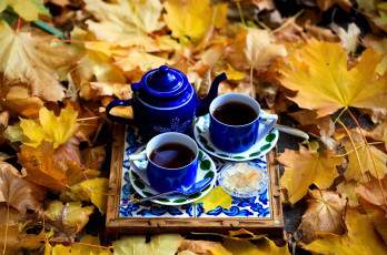 обоя еда, кофе,  кофейные зёрна, осень, кофейник, чашки, листья