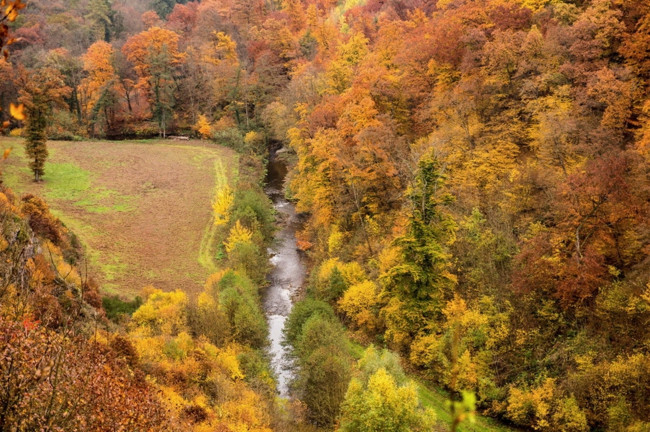 Обои картинки фото природа, лес, осень, деревья, река, вода