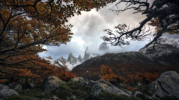 Картинка природа горы туман камни